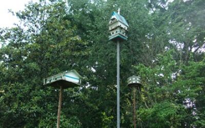 Birdhouses that Hezekiah Early built in his backyard, Natchez, 5/24/10.