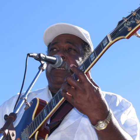 Blues guitarist and vocalist Jesse Robinson of Jackson, performing at the 2007 Tommy Johnson Blues Festival, Crystal Springs.