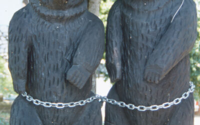 Black Bears. While they do look ferocious, the bears are chained to prevent thieves from stealing them.