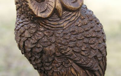 Hoot owl.